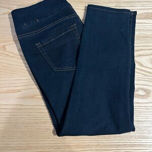 Jag Jeans Women's Dark Blue Skinny Jeans
